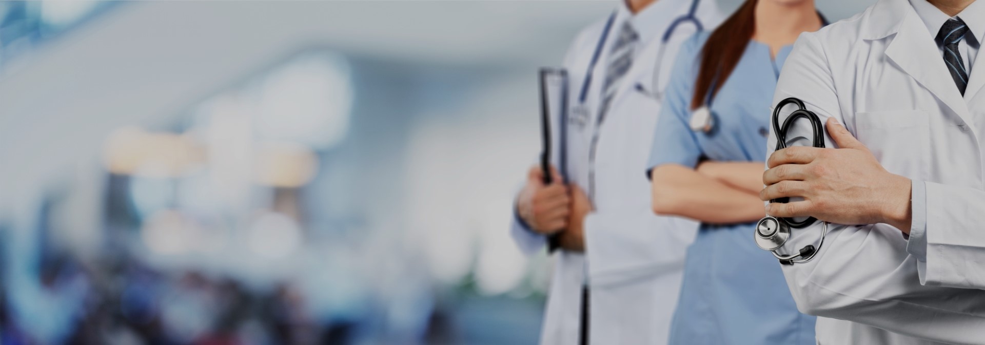 Annuaire des professionnels spécialisés