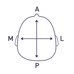 brachio_cranio brachio_cranio